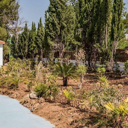 Vila La Colina Puebla de Vallbona Exteriér fotografie